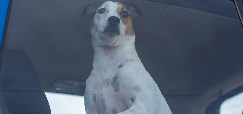 Car Lockout Solutions in Oxnard, California